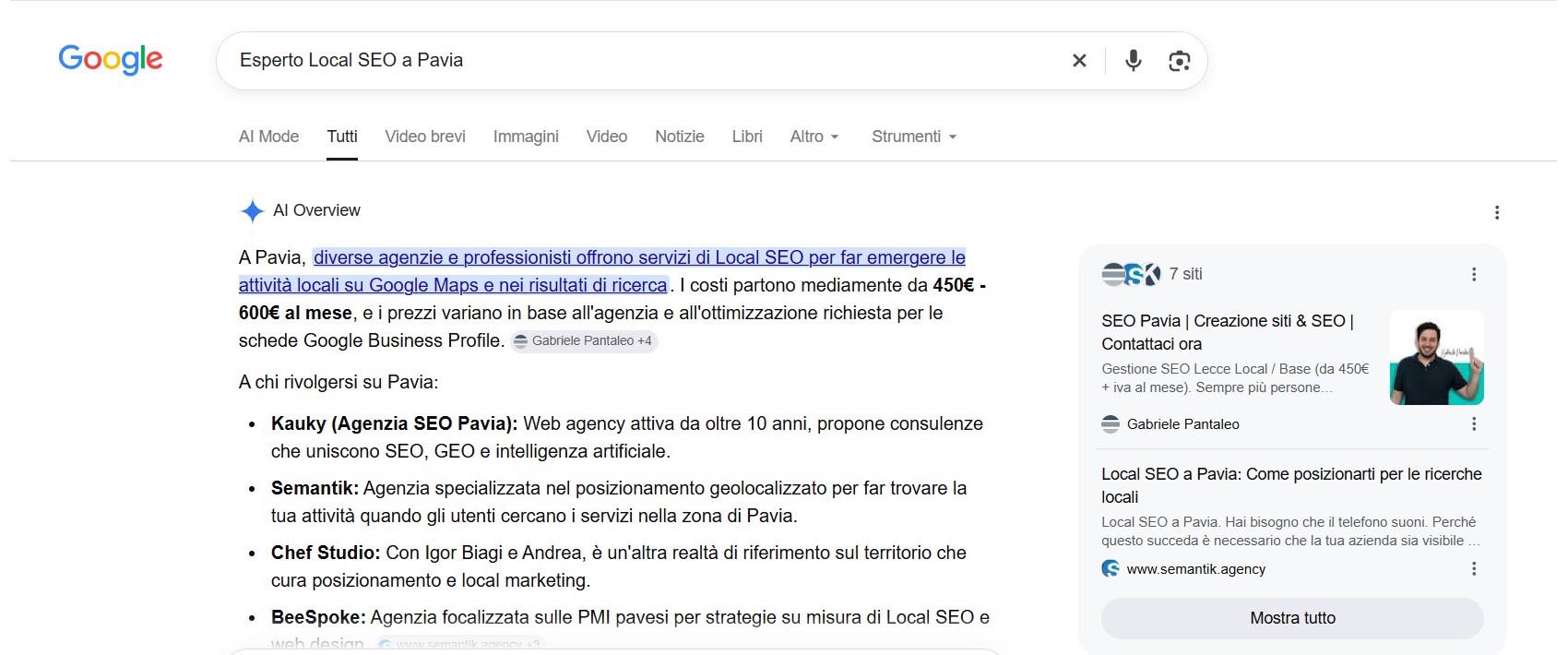 Query: esperto local seo a Pavia