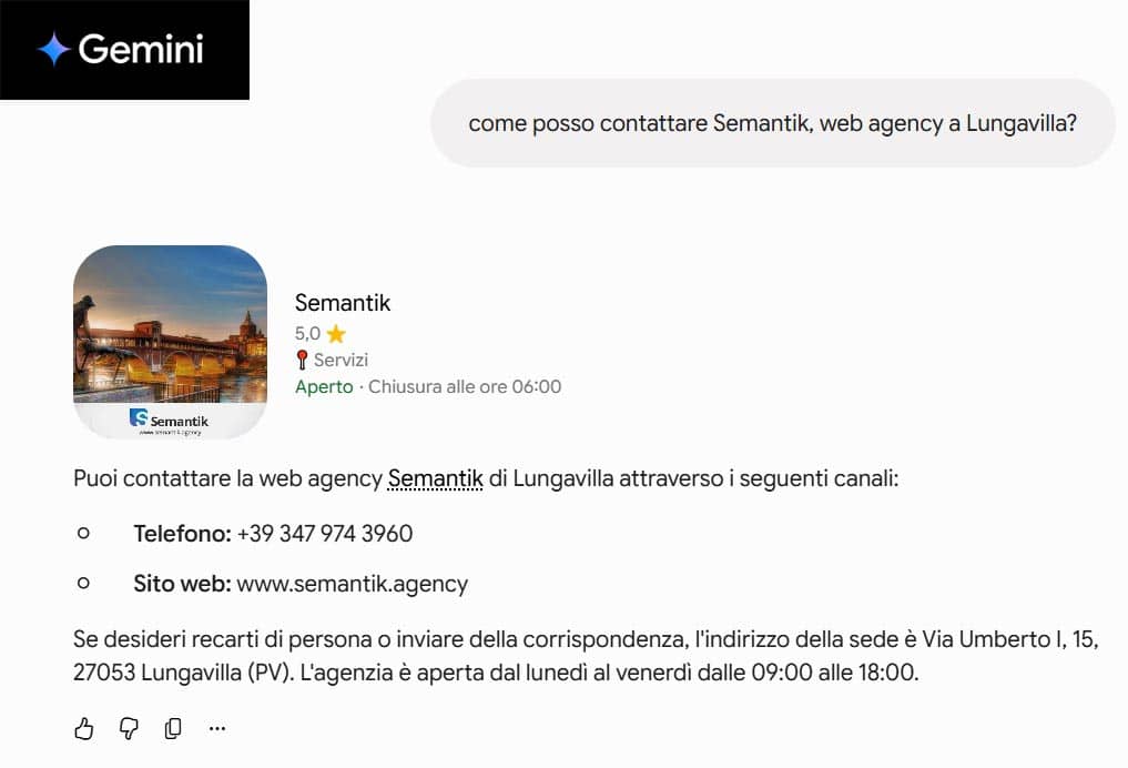 NAP Google Gemini